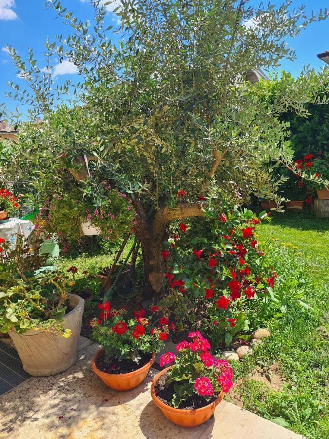 Casa Andre Apartment Pescantina Luaran gambar